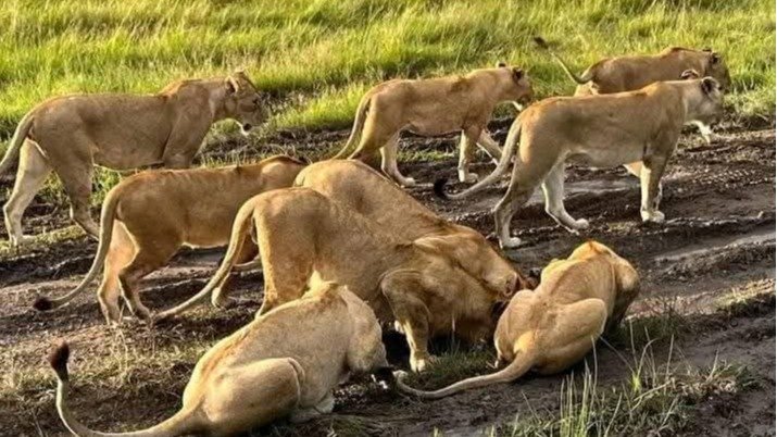 Serengeti National Park