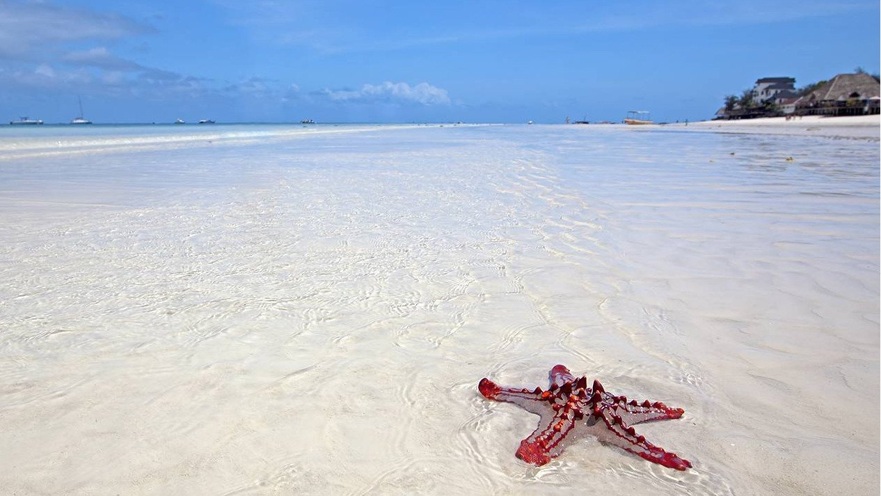 ZANZIBAR 4 DAYS 3 NIGHTS BEACH HOLIDAY