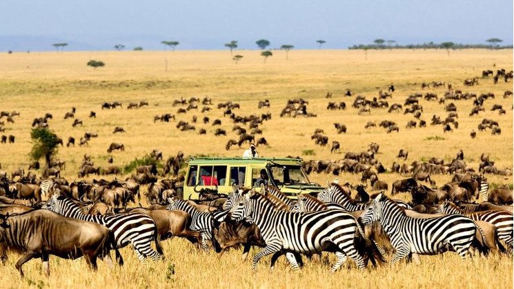 BEAUTY SAFARI FROM ZANZIBAR TO THE SERENGETI AND NGORONGORO NATIONAL PARK